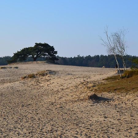 Huisje Weideblik Doornspijk Luaran gambar